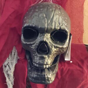 👻 Halloween 12 Inch Fiber Optic Skull Shaped Color Changing Décor Large